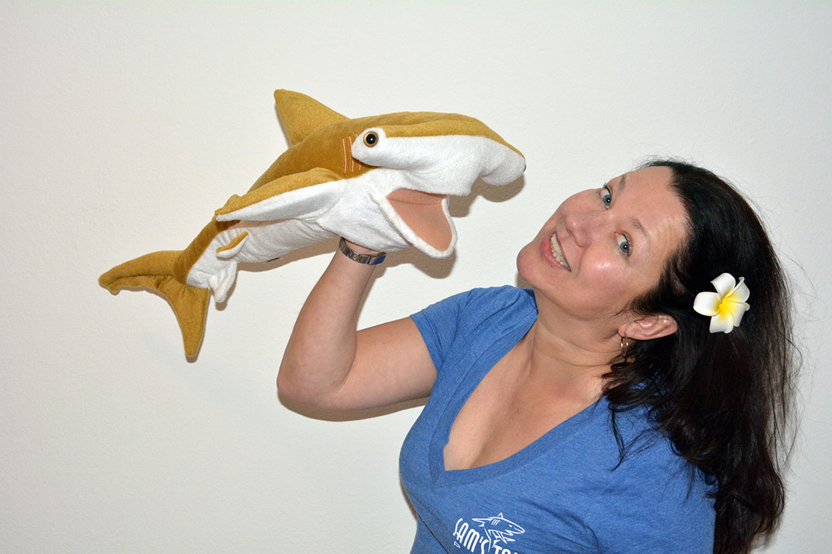 Sam's Tours Palau - Harry Hammerhead